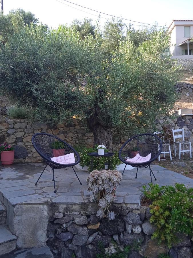 Marianna Studios Agios Petros (Alonissos) Exterior foto
